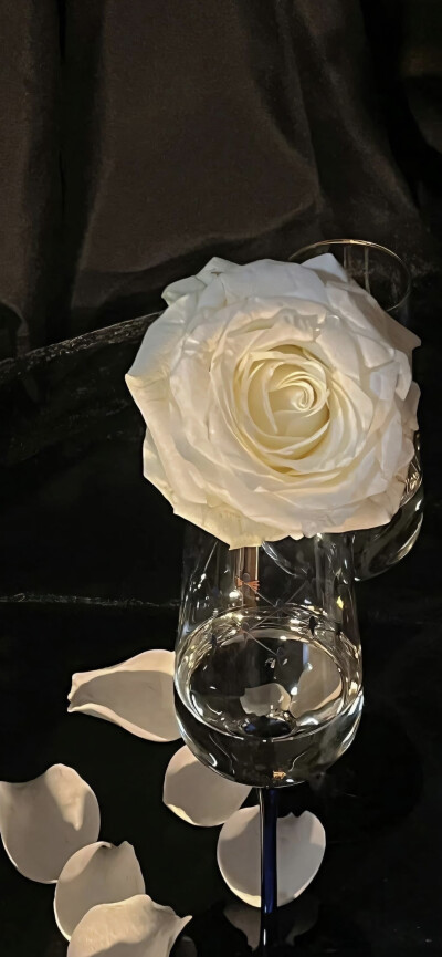 手机壁纸｜聊天背景图