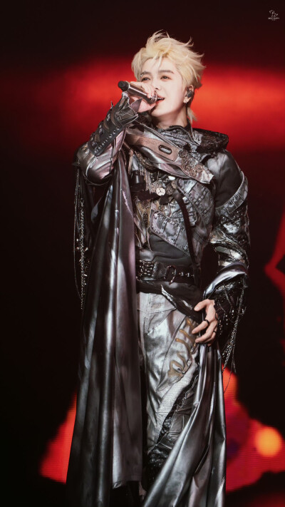 王栎鑫 250222 X巡回演唱会 上海站