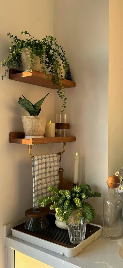 手机壁纸｜聊天背景图