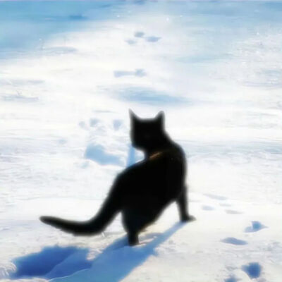 我是不会放弃收集这种图片的