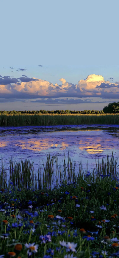 手机壁纸｜聊天背景图