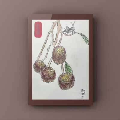 米罗艺术工作室•荔枝写生