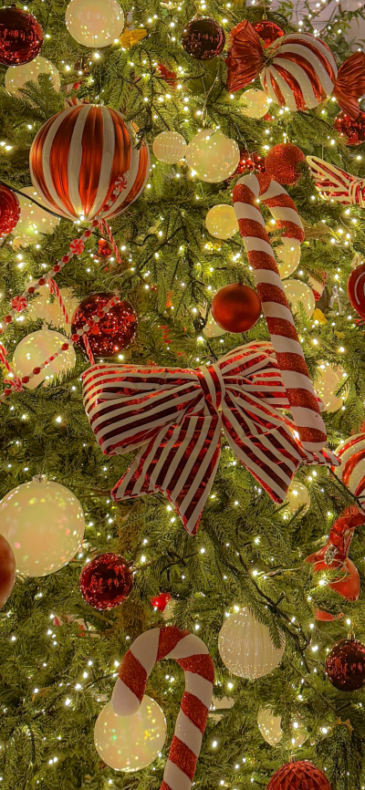 圣诞快乐
图片来自网络，侵删