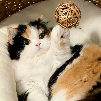 图源ks：偷喝汽水