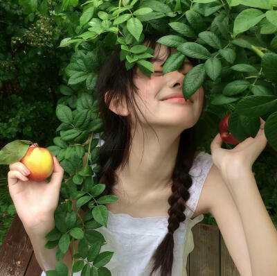 dt真夜中莉莉娜