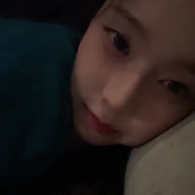 家有小狗狗小猪妹小团子小困困