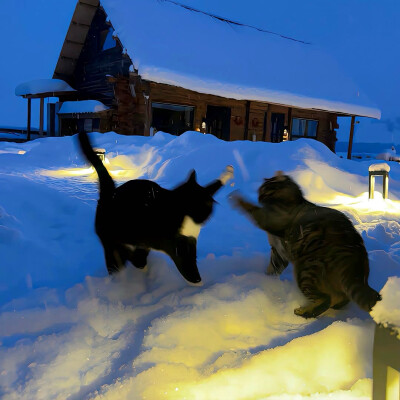 图源ks：偷喝汽水