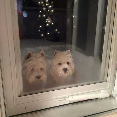 图源ks：偷喝汽水