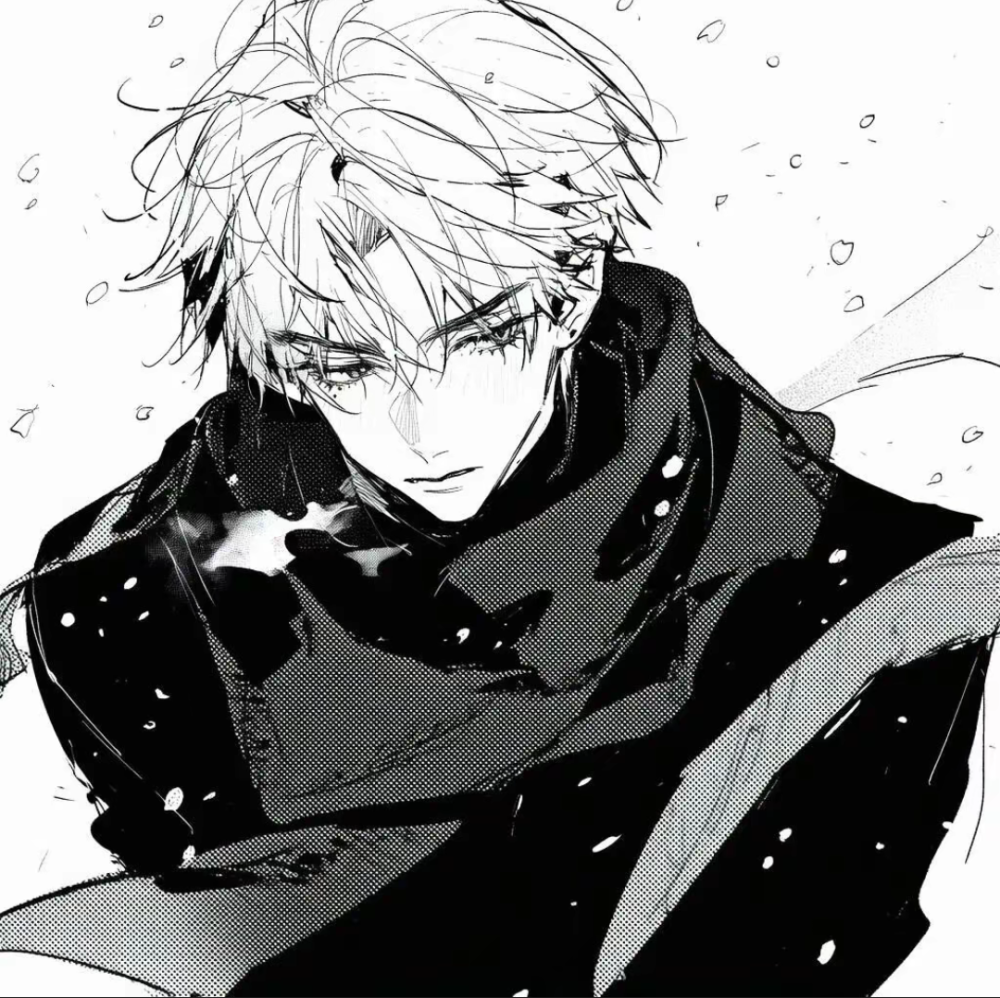 二次元 男头 黑白 帅气 图源网络 侵权删