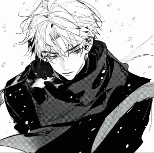 二次元 男头 黑白 帅气 图源网络 侵权删