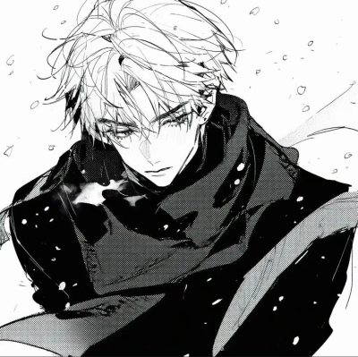 二次元 男头 黑白 帅气 图源网络 侵权删