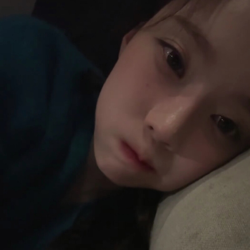 家有小狗狗小猪妹小团子小困困