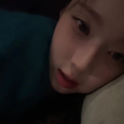 家有小狗狗小猪妹小团子小困困