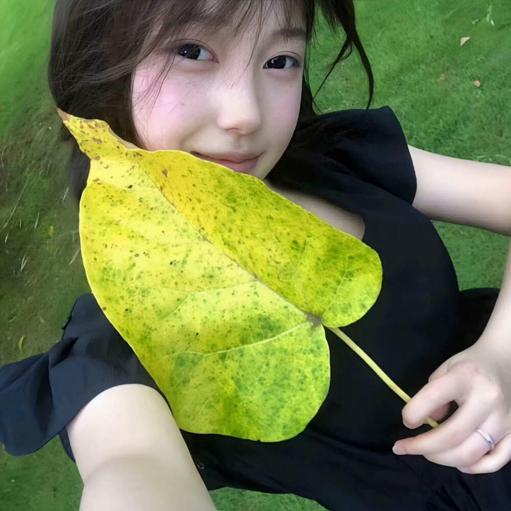 dt真夜中莉莉娜