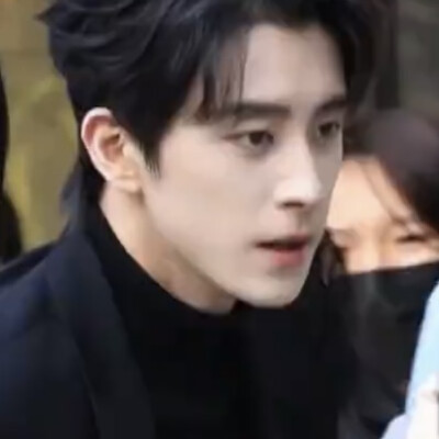 我要看不二之臣