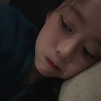 家有小狗狗小猪妹小团子小困困