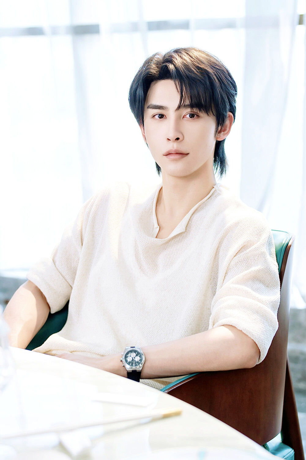 傅总，你的命我续上了 傅砚安