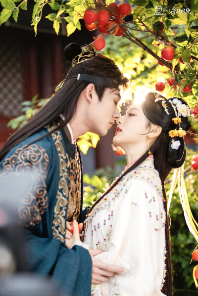 误惹成欢 苏瑶×萧景辞