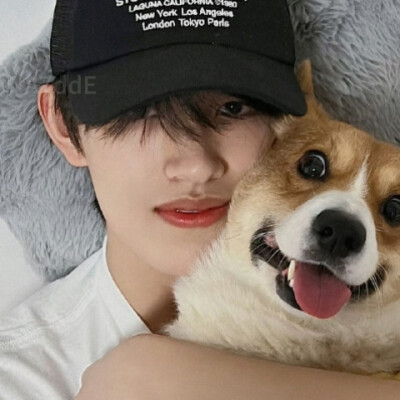 难怪 我读你的时候 先是大雪 是暮日 是绵延的冷 再是残湖里 生生不息的水韵