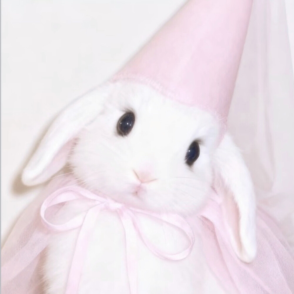 ꒰ঌ(⃔ ⌯' '⌯)⃕໒꒱