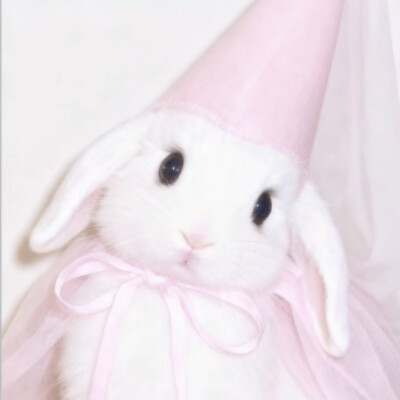 ꒰ঌ(⃔ ⌯' '⌯)⃕໒꒱