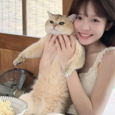 dt真夜中莉莉娜