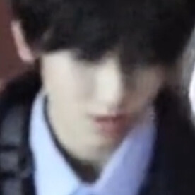 这是朱迪吗感觉像尼克套了朱迪的衣服出警