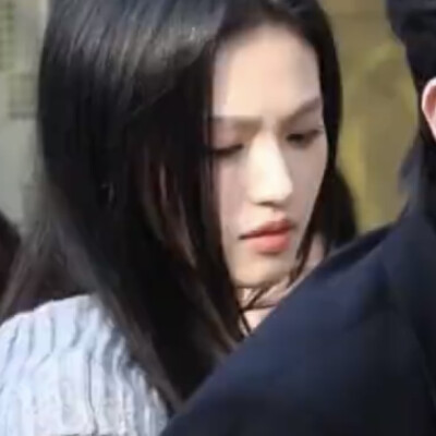 我要看不二之臣