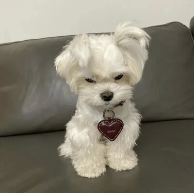 ꒰(⌯˃̶̥̆д˂̶̥̥̥̆ ू)꒱