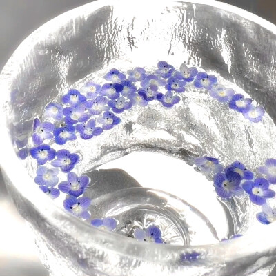 ₊⁺ ꒰১ ♡ ໒꒱ ⁺₊