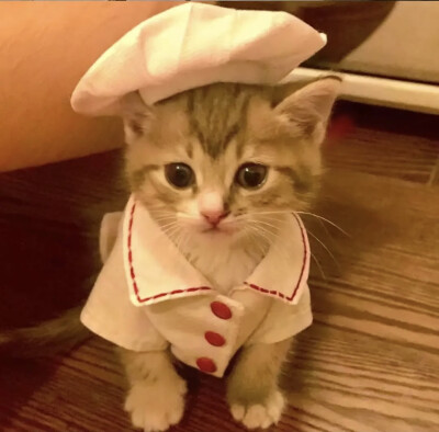 ꒰(⌯˃̶̥̆д˂̶̥̥̥̆ ू)꒱