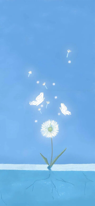 可爱的
图片来自网络，侵删