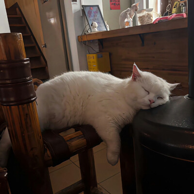 叶文洁怎么还不来