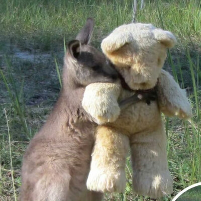 谁都能拍张好照片