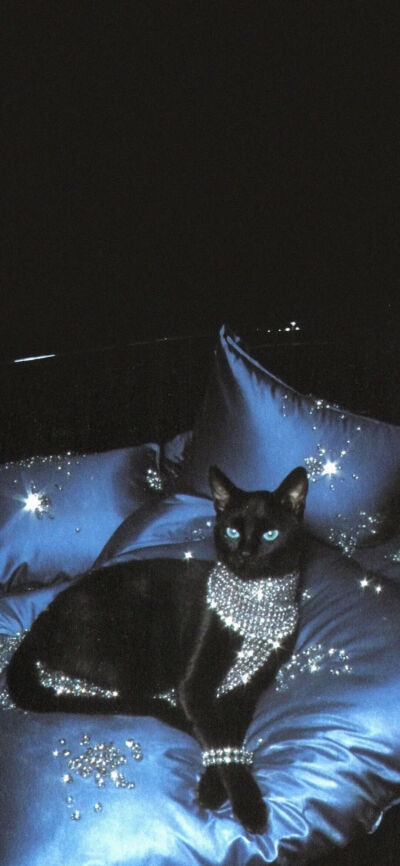 我是不会放弃收集这种图片的