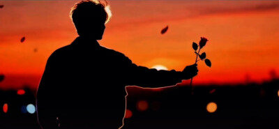 送你一支玫瑰花