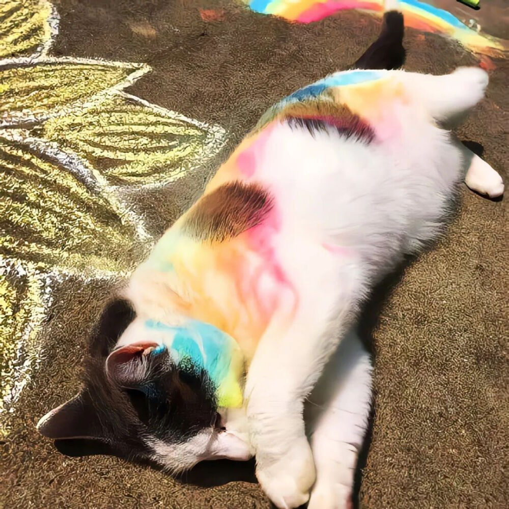 我是不会放弃收集这种图片的