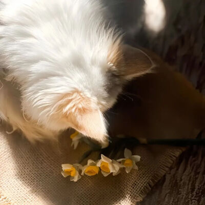 我是不会放弃收集这种图片的