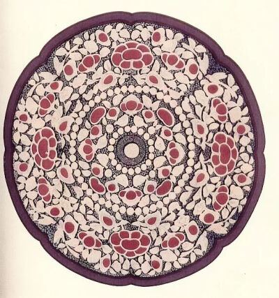 ▲ [唐] 平螺钿背八角镜日本奈良 东大寺正仓院藏