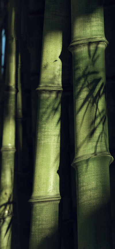 空心有节，柔韧生光。