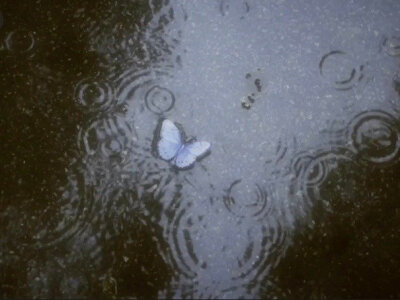 谁都能拍张好照片