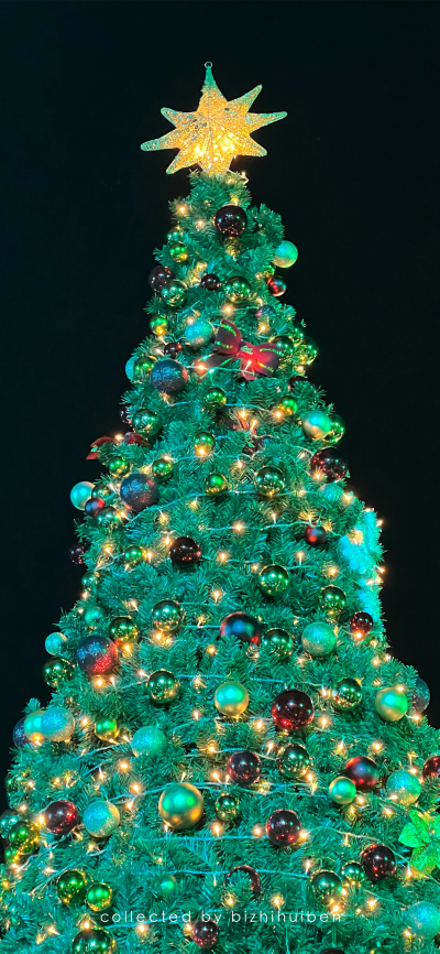 圣诞快乐
图片来自网络，侵删