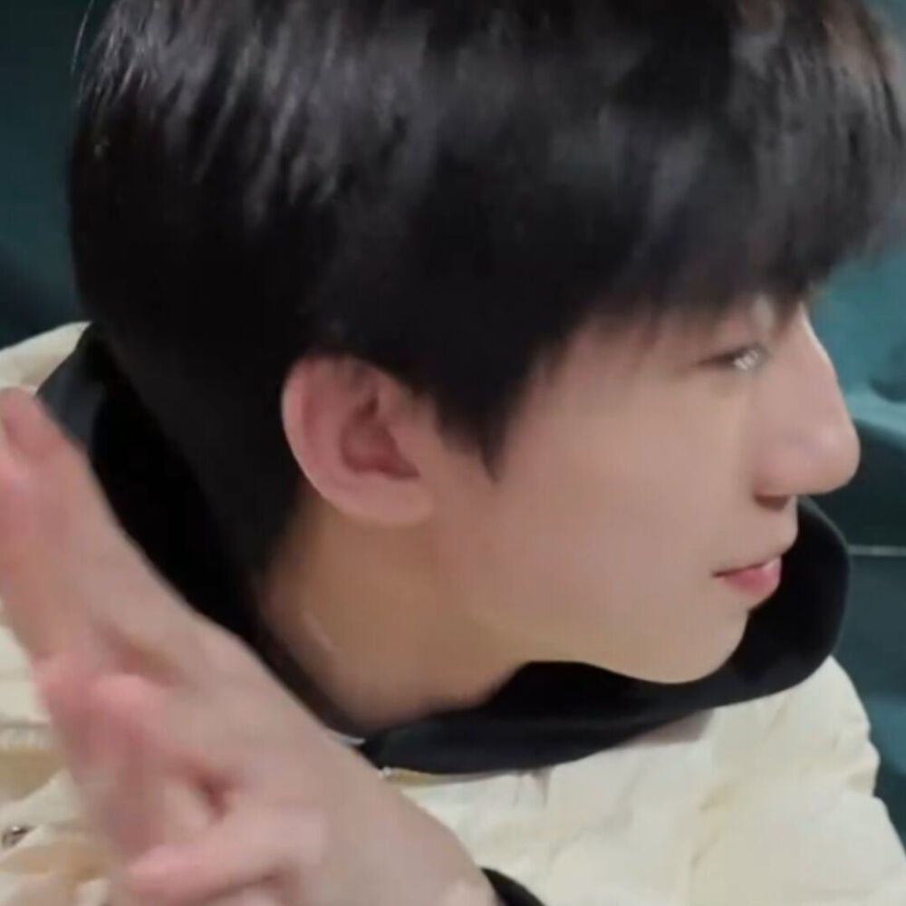 好萌的一只小猪