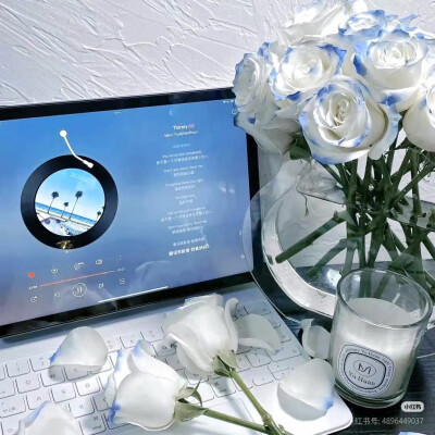 蓝色壁纸 背景图