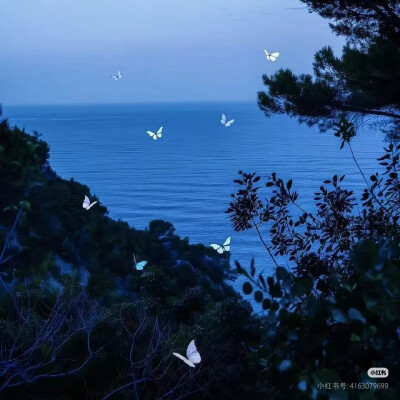 蓝色壁纸 背景图