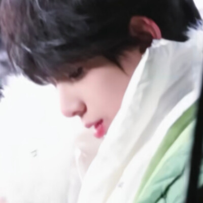 没有不爱小猪的义务