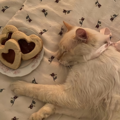 我是不会放弃收集这种图片的