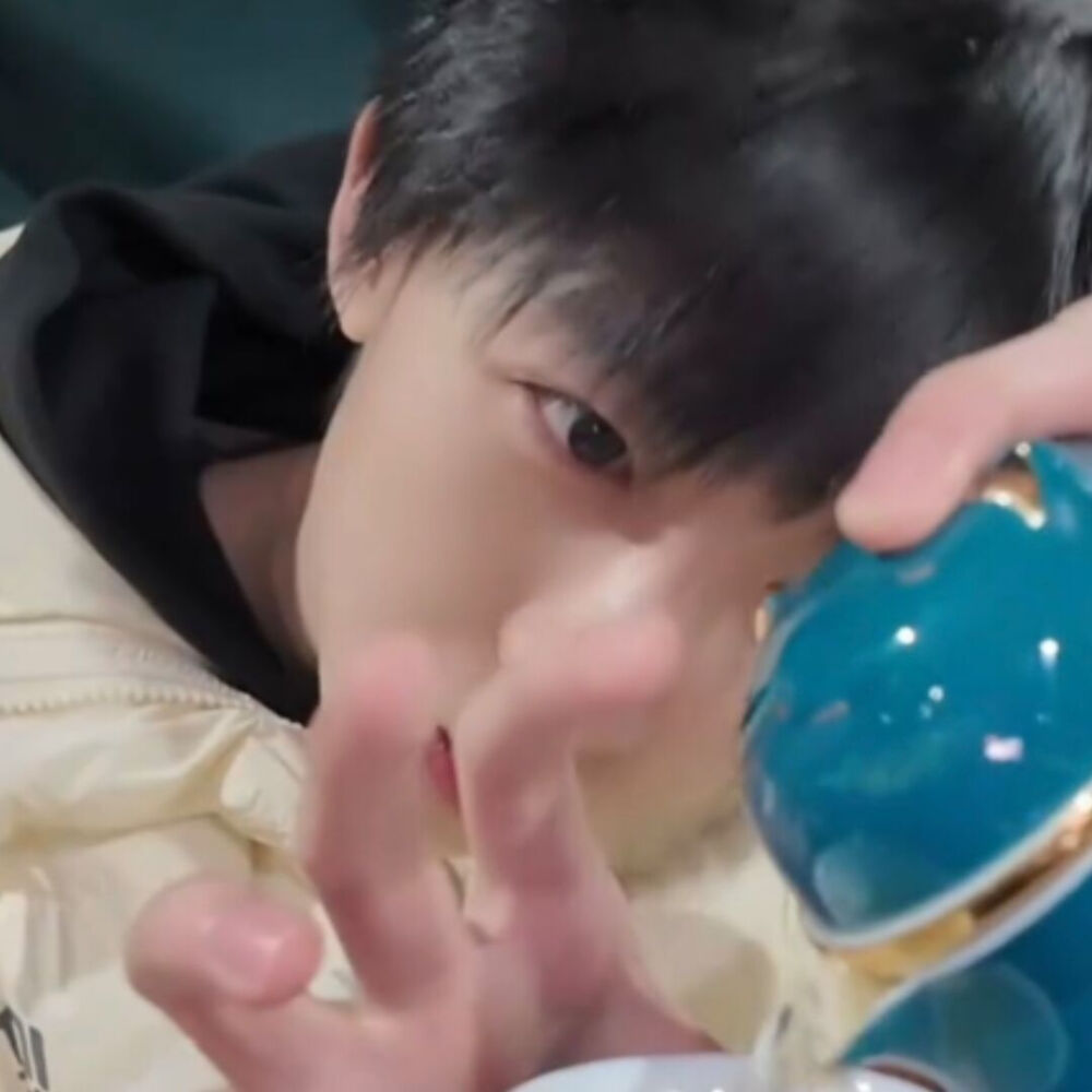 好萌的一只小猪