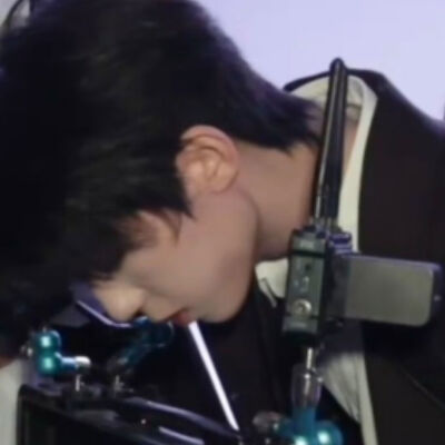 好萌的一只小猪