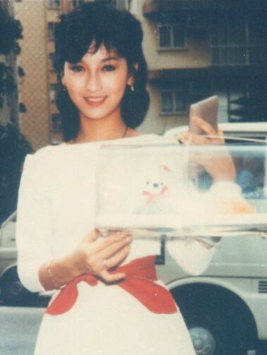 八九十年代港台明星